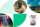 Our-Core-Image (1)