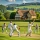 cricket-match-with-house-background_590832-3557 (1)